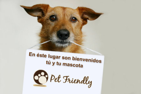 Mascota con letrero pet-friendly