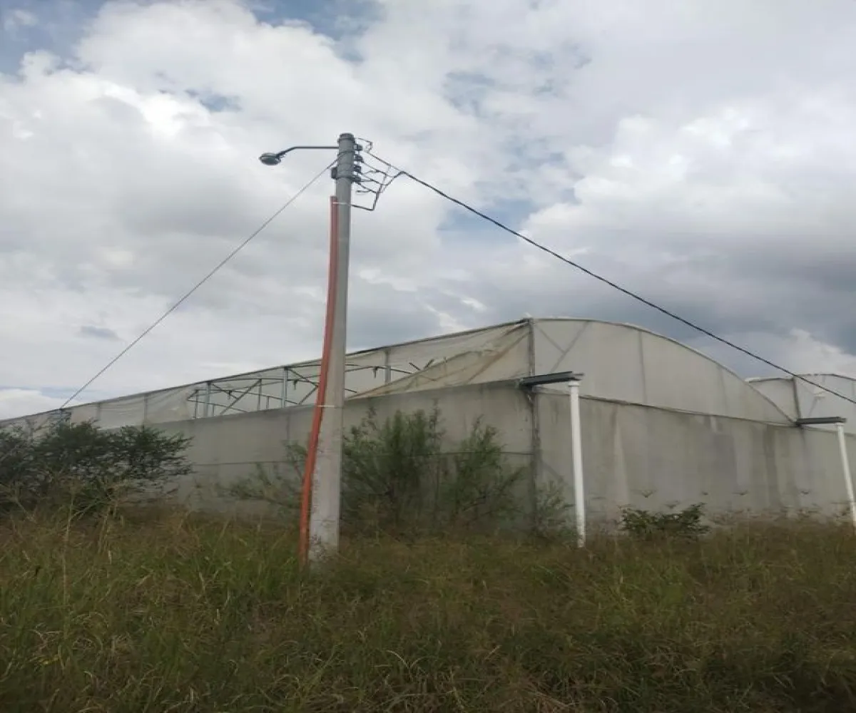 Terreno En Venta,Centro Unión de Tula,CARRETERA A AUTLAN S/N, Unión de Tula, Jalisco 48000,CARRETERA A AUTLAN ,p1ndh4F