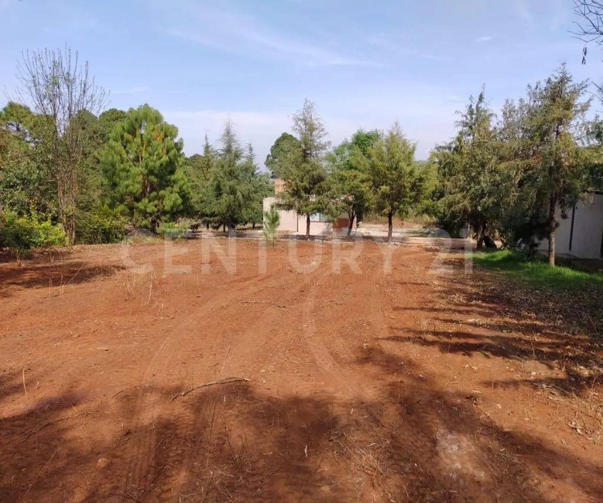 Terreno En Venta,Atemajac de Brizuela,Bosque el manto Mz 10 Lt 16, Atemajac de Brizuela, Jalisco 45790,Bosque el manto,paRtBLw