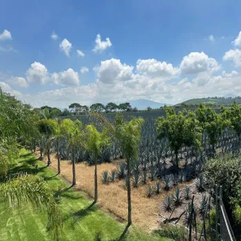 Terreno En Venta,Buenavista,Francisco Villa S/N, Ixtlahuacán de los Membrillos, Jalisco 45850,Francisco Villa,pB5likH