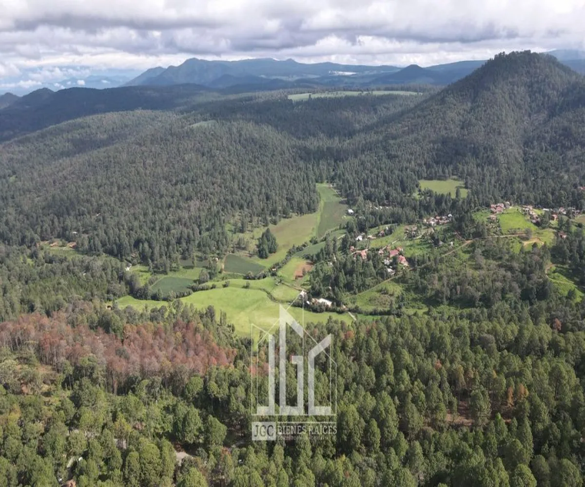 Terreno En Venta,BOSQUES DE LA CAÑADA,BOSQUES DE LA CAÑADA S/N, Tapalpa, Jalisco 49368,BOSQUES DE LA CAÑADA,pnO0yca