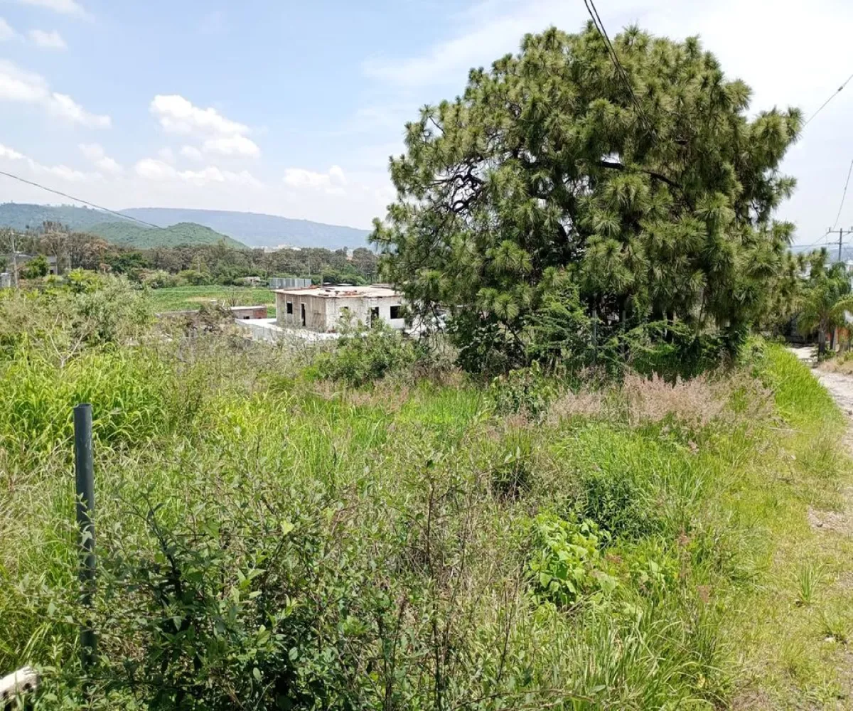 Terreno En Venta,San Agustín,Carretera a San Isidro Mazatepec s/n, Tlajomulco de Zúñiga, Jalisco 45645,Carretera a San Isidro Mazatepec,p6ckdtw