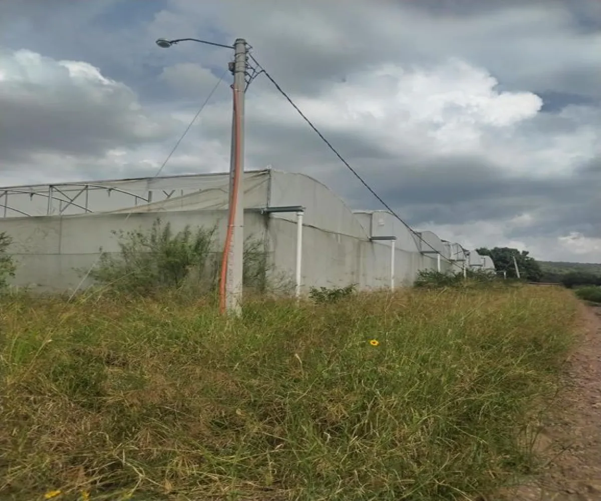 Terreno En Venta,Centro Unión de Tula,Centro S/N, Unión de Tula, Jalisco 48000,Centro ,puJtAr8