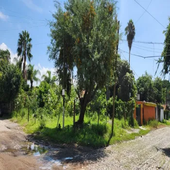 Terreno En Venta,Las Redes,Lote 1 Mz 3 Las Redes S/N, Chapala, Jalisco 45900,Lote 1 Mz 3 Las Redes,pWN4XAB