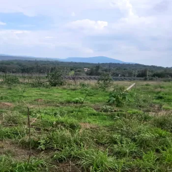 Terreno En Venta,Santa Cruz del Astillero,Guadalajara-Tepic S/N, El Arenal, Jalisco 45360,Guadalajara-Tepic,pYdrphQ