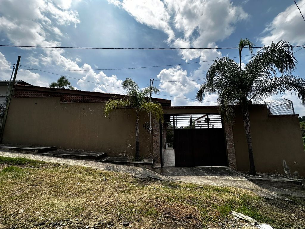Zapopan Ramon Corona