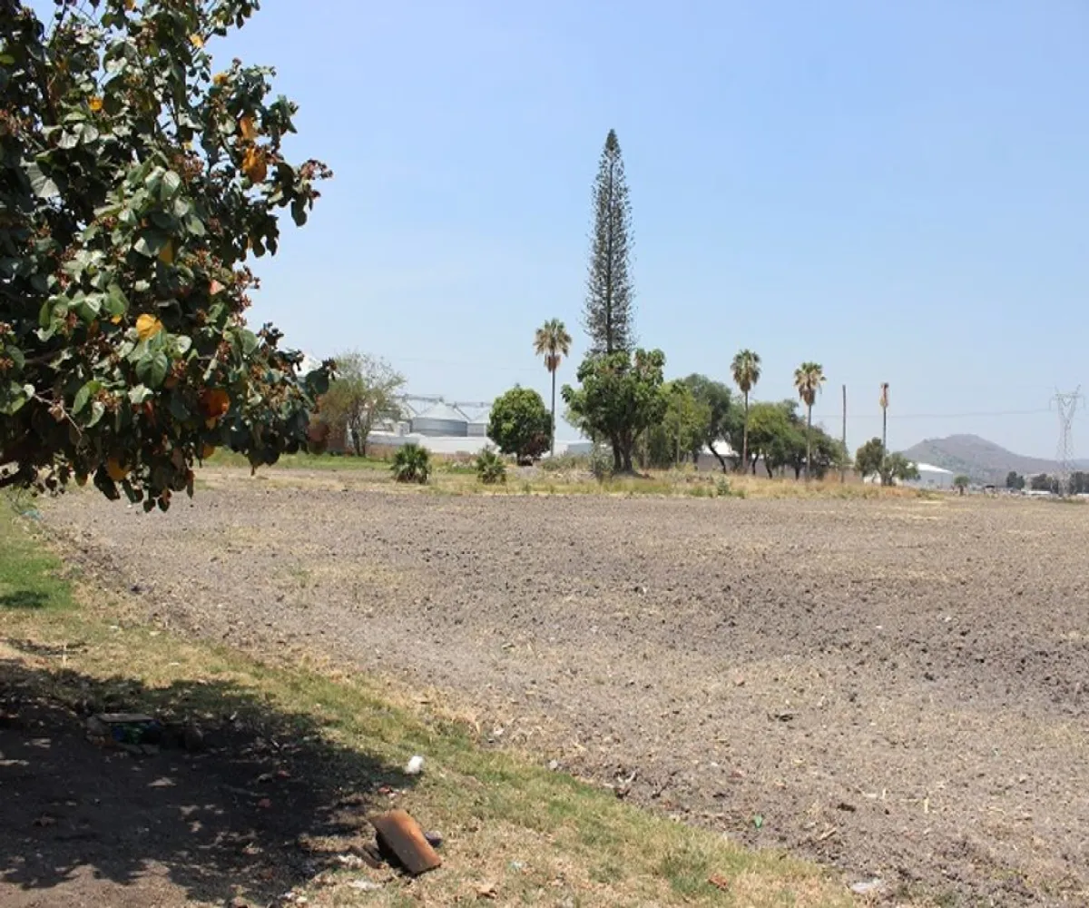 Terreno En Venta,Las Torrecillas,Av. 20 de Noviembre 692, Ocotlán, Jalisco 47870,Av. 20 de Noviembre,pkqRDfZ