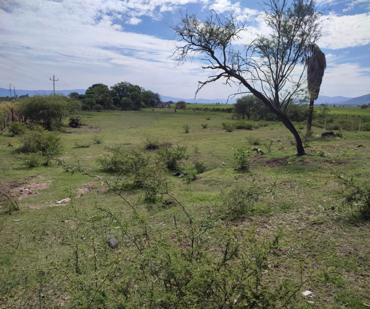 Terreno En Venta,Labor de Medina,Carretera a Ameca s/n, Guachinango, Jalisco 46770,Carretera a Ameca,pVwUwUd