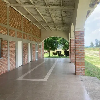 Terreno En Venta,Miravalle,Cedro 5, Acatlán de Juárez, Jalisco 45700,Cedro,p7iQ3R9