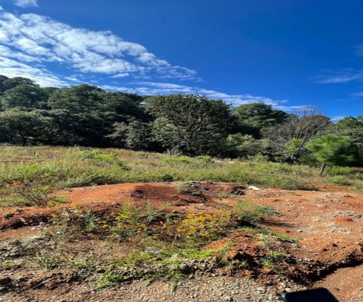 Terreno En Venta,Prolongacion Ignacio López Rayón SN 68, Atemajac de Brizuela, Jalisco 45790,Prolongacion Ignacio López Rayón,pv3uHhc