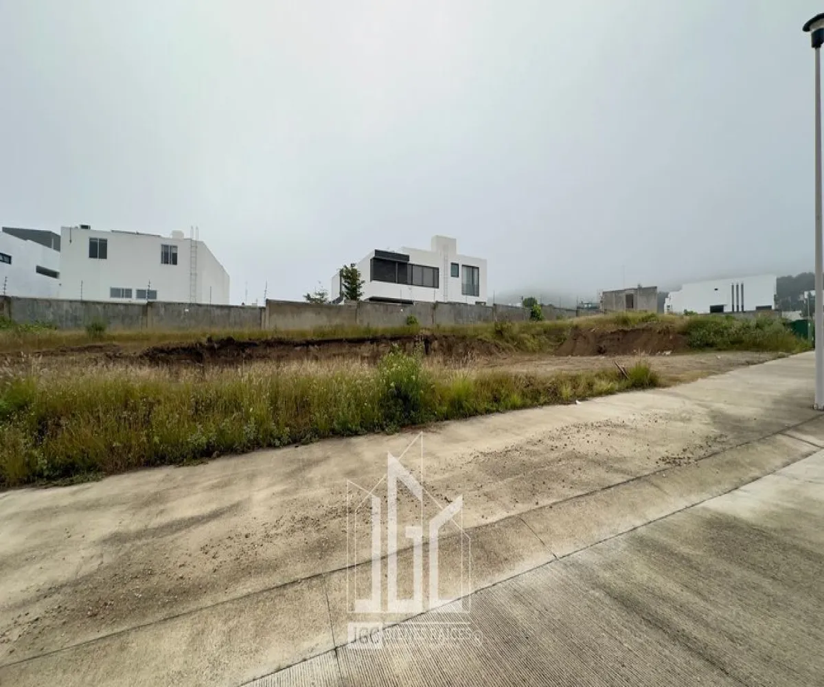 Terreno En Venta,Los Robles,Avenida Paseo de la Primavera 311, Zapopan, Jalisco 45237,Avenida Paseo de la Primavera,pHnNMDX