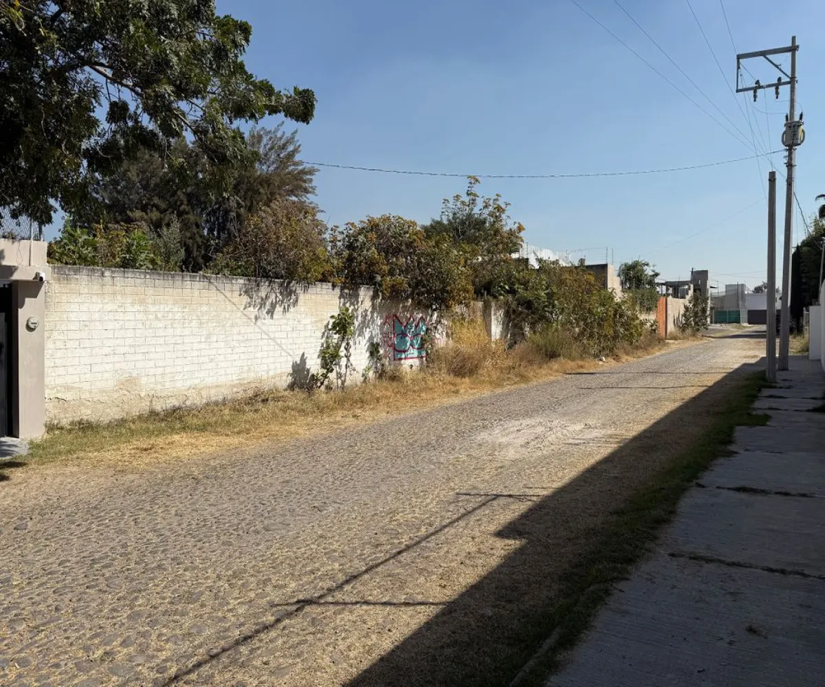 Terreno En Venta,La tijera,24 de Diciembre S/N, Tlajomulco de Zúñiga, Jalisco 45647,24 de Diciembre,phVoDcw