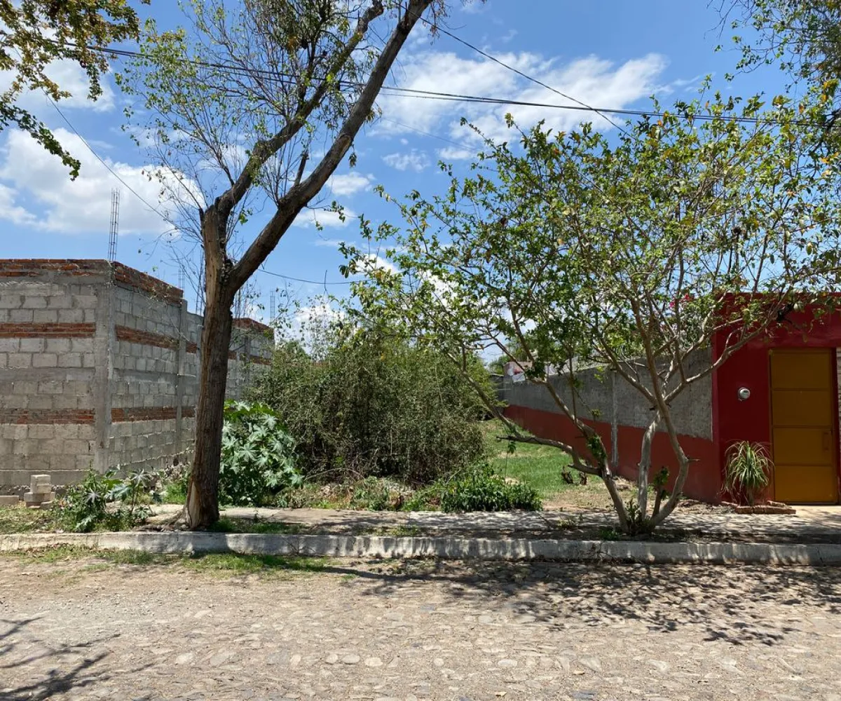 Terreno En Venta,Fraccionamiento San Diego,San Miguel S/N F1M3, Tlajomulco de Zúñiga, Jalisco 45660,San Miguel,p9yPZBq