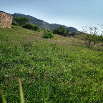 Terreno En Venta,Colinas de Tesistan,Río Blanco 5000-6000, Zapopan, Jalisco 45134,Río Blanco,pMuW4U9