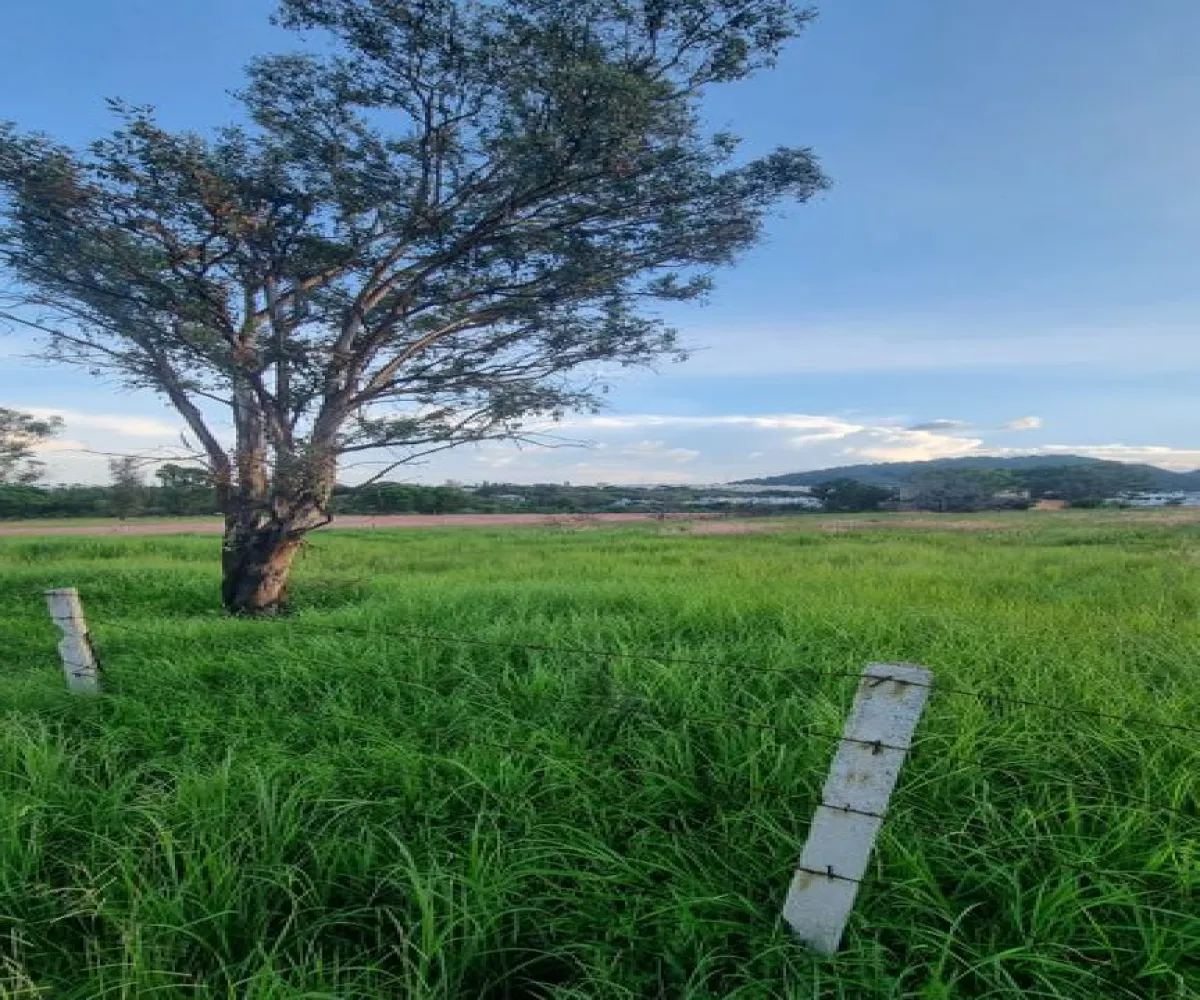 Terreno En Venta,mirador del Bosque,Carretera a Colotlán El Taray, Zapopan, Jalisco 45200,Carretera a Colotlán,pGrgEhd