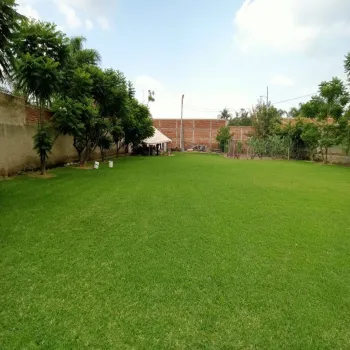 Terreno En Venta,Las Palmas S/N, Zapopan, Jalisco 45200,Las Palmas,pR6KBGL