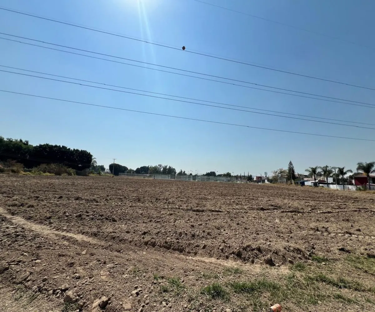 Terreno En Venta,La Periquera,Antiguo Camino a Copalita S/N, Zapopan, Jalisco 45134,Antiguo Camino a Copalita,pOknNLP