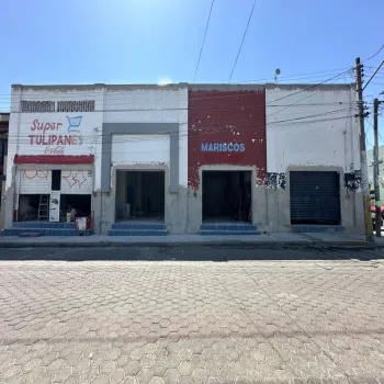 Local En Venta,Los Tulipanes,Calle Lirio 806, Tlajomulco de Zúñiga, Jalisco 45647,1 Baño,Calle Lirio,1,pUEG7Pf