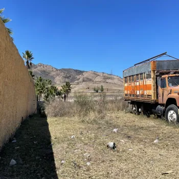 Terreno En Venta,LOMAS DE TESISTAN ,Paseo de las Orquídeas 62b, Zapopan, Jalisco 45200,Paseo de las Orquídeas,pRMbXao