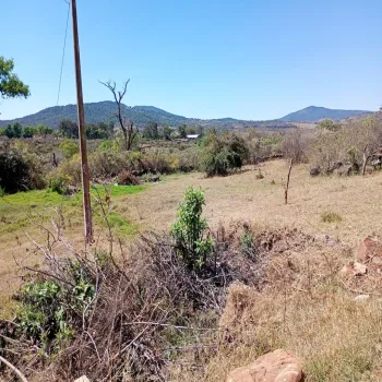 Terreno En Venta,Centro,Vasco de Quiroga Poniente ., Marcos Castellanos, Michoacán de Ocampo 59500,Vasco de Quiroga Poniente,ponUZng