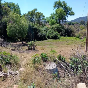 Terreno En Venta,Centro,Vasco de Quiroga Poniente ., Marcos Castellanos, Michoacán de Ocampo 59500,Vasco de Quiroga Poniente,ponUZng