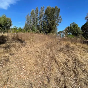 Terreno En Venta,ejido epenche ,epenche sn 49514, Mazamitla, Jalisco 49514,epenche ,pgHDoLC