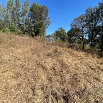 Terreno En Venta,ejido epenche ,epenche sn 49514, Mazamitla, Jalisco 49514,epenche ,pgHDoLC