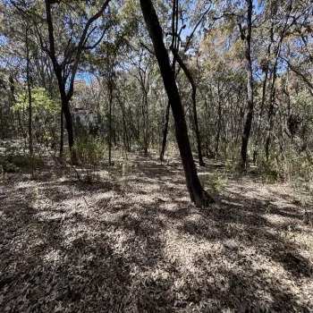 Terreno En Venta,Reserva de los Encinos,Reserva de los Encinos 00, El Arenal, Jalisco 45350,Reserva de los Encinos,pvhKB5T