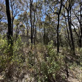 Terreno En Venta,Reserva de los Encinos,Reserva de los Encinos 00, El Arenal, Jalisco 45350,Reserva de los Encinos,pvhKB5T