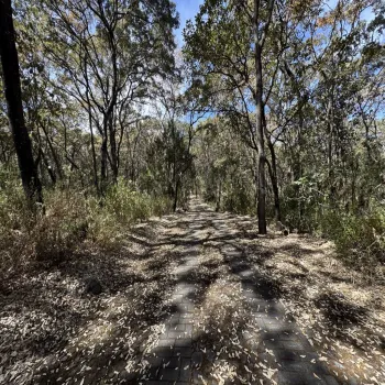 Terreno En Venta,Reserva de los Encinos,Reserva de los Encinos 00, El Arenal, Jalisco 45350,Reserva de los Encinos,pvhKB5T