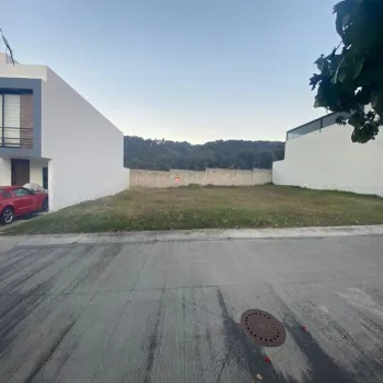 Terreno En Venta,Los Robles,Circuito de Los Pinos 163 163, Zapopan, Jalisco 45230,Circuito de Los Pinos,pYt55ln