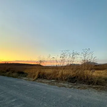 Terreno En Venta,Zapopan,Camino A Nextipac 240 Z1 p 1/4, Zapopan, Jalisco 45134,Camino A Nextipac,pZXLMen