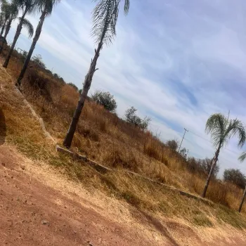 Terreno En Venta,PREDIO LA AURORA,las palmas S/N, Juanacatlán, Jalisco 45880,las palmas,pYVIO94