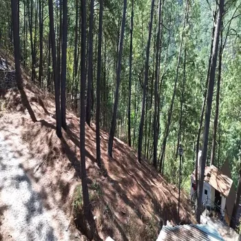 Terreno En Venta,Mazamitla,Loma Blanca 2723, Mazamitla, Jalisco 49500,Loma Blanca,pABlUD1