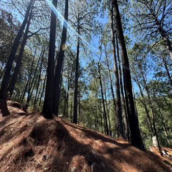 Terreno En Venta,Mazamitla,Loma Blanca 2723, Mazamitla, Jalisco 49500,Loma Blanca,pABlUD1