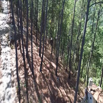 Terreno En Venta,Mazamitla,Loma Blanca 2723, Mazamitla, Jalisco 49500,Loma Blanca,pABlUD1