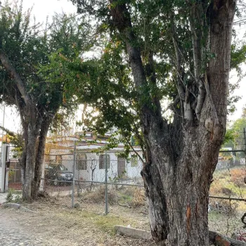 Terreno En Venta,San Antonio Tlayacapan,La Paz 158, Chapala, Jalisco 45915,La Paz,prl0nlA