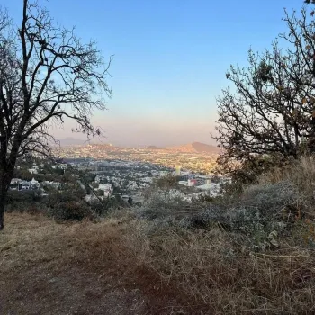 Terreno En Venta,El Palomar,Terreno el Palomar S/N, Tlajomulco de Zúñiga, Jalisco 45643,Terreno el Palomar ,pKfezy6