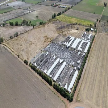 Terreno En Venta,San Isidro Mazatepec,San Isidro Mazatepec S/N, Tala, Jalisco 45340,San Isidro Mazatepec,p0g3BHQ