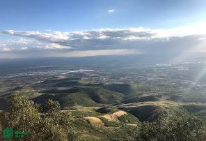 Ribera del Pilar POBLADO RIVERA DEL CARDENAL