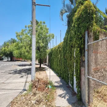 Terreno En Venta,Prados Tepeyac,Avenida de Los Leones 1039, Zapopan, Jalisco 45047,Avenida de Los Leones,patc1LM