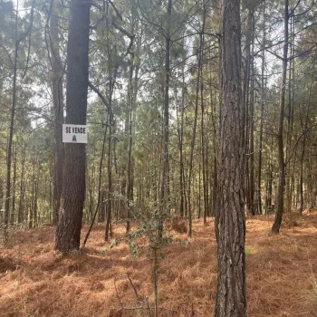 Terreno En Venta,Ecolomas de Mazatl 6, Mazamitla, Jalisco 49500,Ecolomas de Mazatl,pRJNbDR