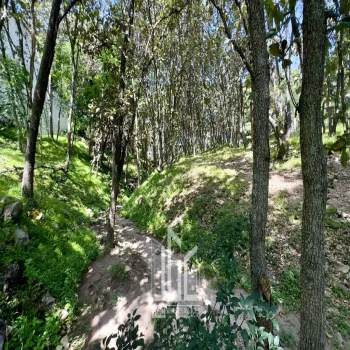 Terreno En Venta,Ciudad Bugambilias,Paseo de Las Gacelas S/N, Zapopan, Jalisco 45237,Paseo de Las Gacelas,poHEInb