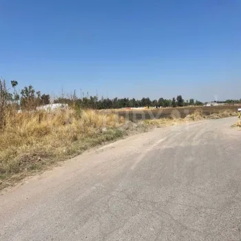 Terreno En Renta,Zapote Del Valle,Parcela 287 Z3 PS/S, Tlajomulco de Zúñiga, Jalisco 45672,Parcela 287 ,p31K8gI