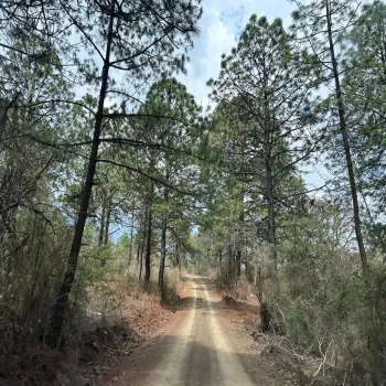 Terreno En Venta,La Atarjea,La Atarjea S/N, Tapalpa, Jalisco 49346,La Atarjea,pDN3VIs