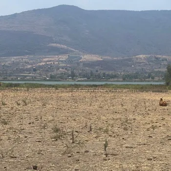 Terreno En Venta,Poblado de Cuexcomatitlan.,Avenida Tres Reyes 00, Tlajomulco de Zúñiga, Jalisco 45670,Avenida Tres Reyes,pnfH0gJ