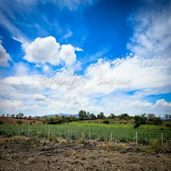 Terreno En Venta,32 Batallón de Infantería,Ingeniero Antonio Arroniz Topete S/N, Ameca, Jalisco 46600,Ingeniero Antonio Arroniz Topete,psVY9yI