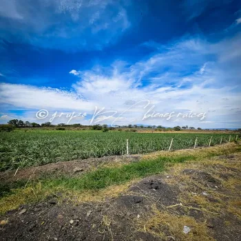 Terreno En Venta,32 Batallón de Infantería,Ingeniero Antonio Arroniz Topete S/N, Ameca, Jalisco 46600,Ingeniero Antonio Arroniz Topete,psVY9yI