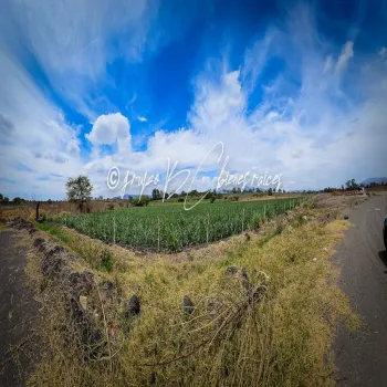 Terreno En Venta,32 Batallón de Infantería,Ingeniero Antonio Arroniz Topete S/N, Ameca, Jalisco 46600,Ingeniero Antonio Arroniz Topete,psVY9yI