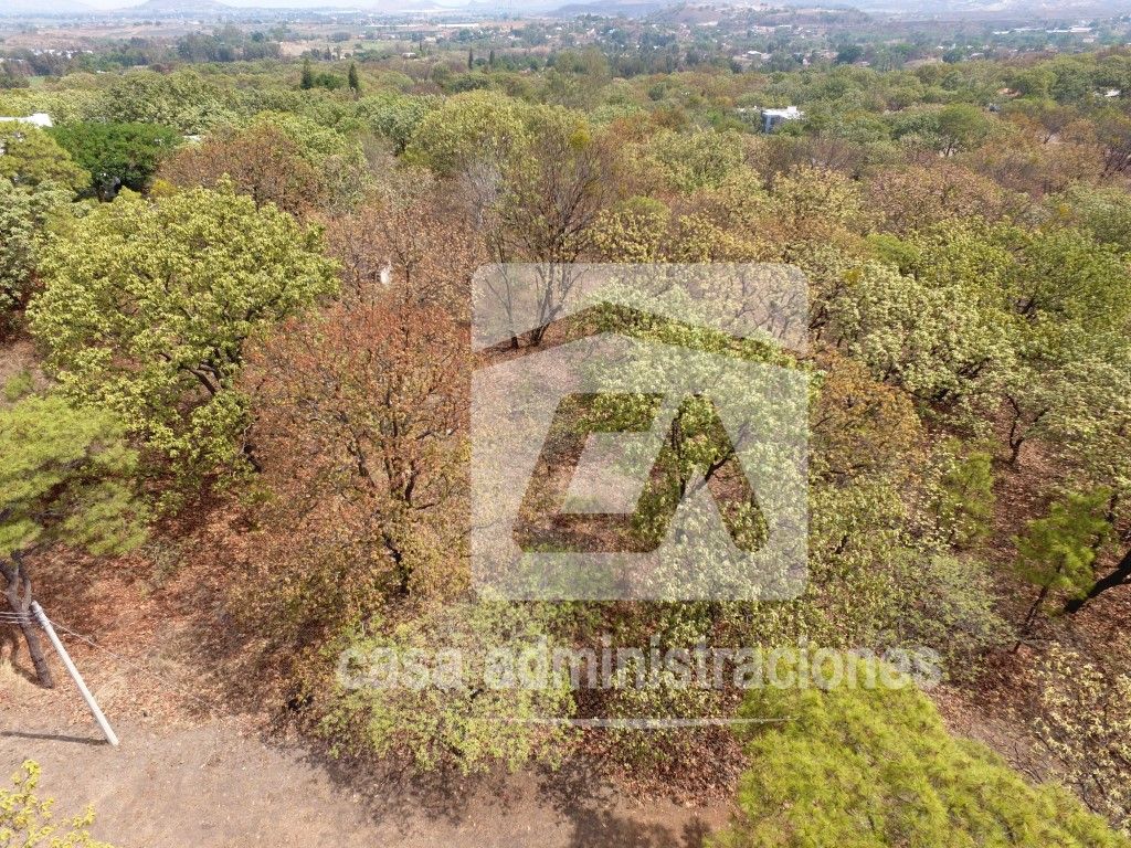 El Roble Privada de los Encinos
